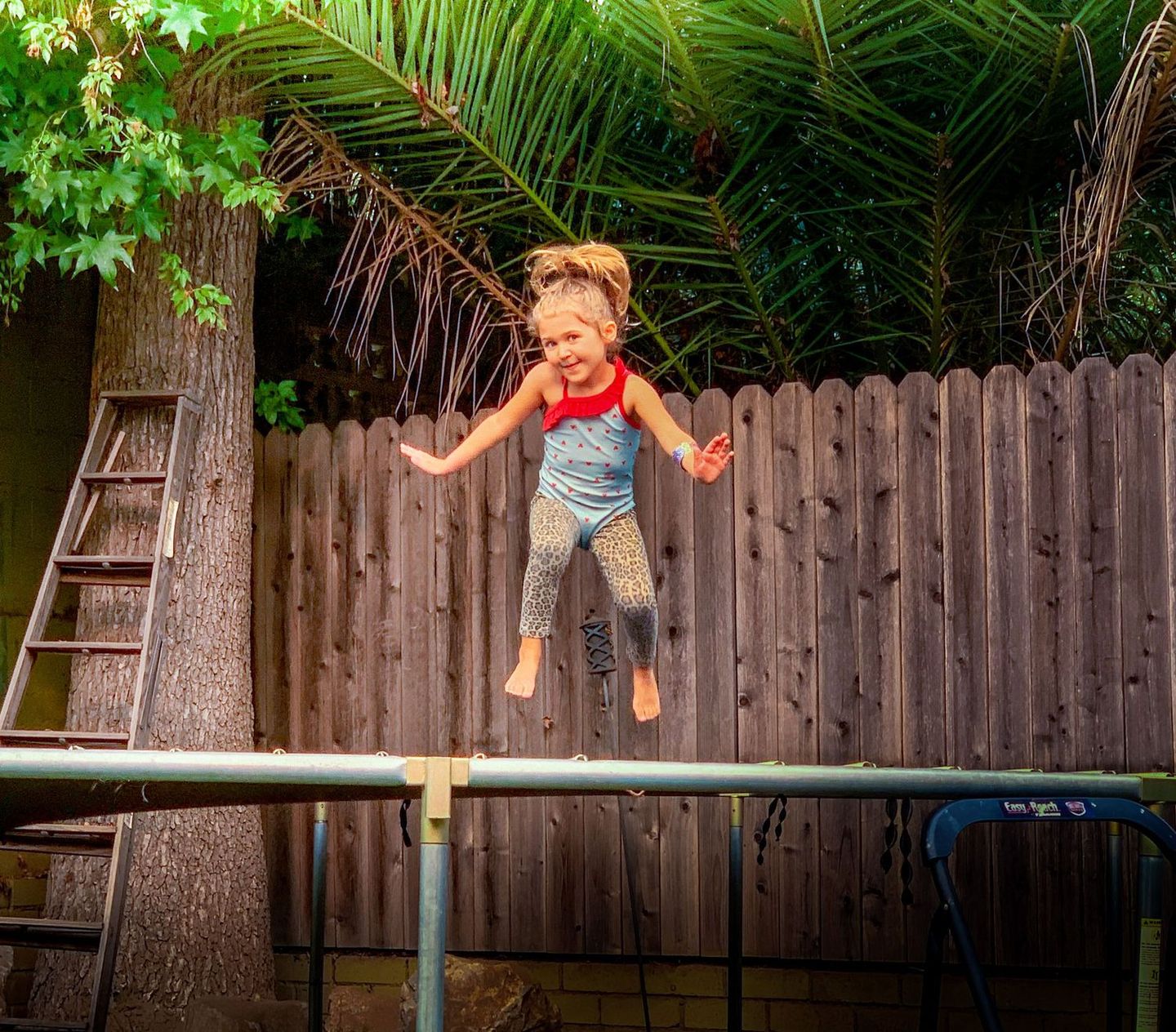 Boy balancing on top of a wooden fence under palm leaves